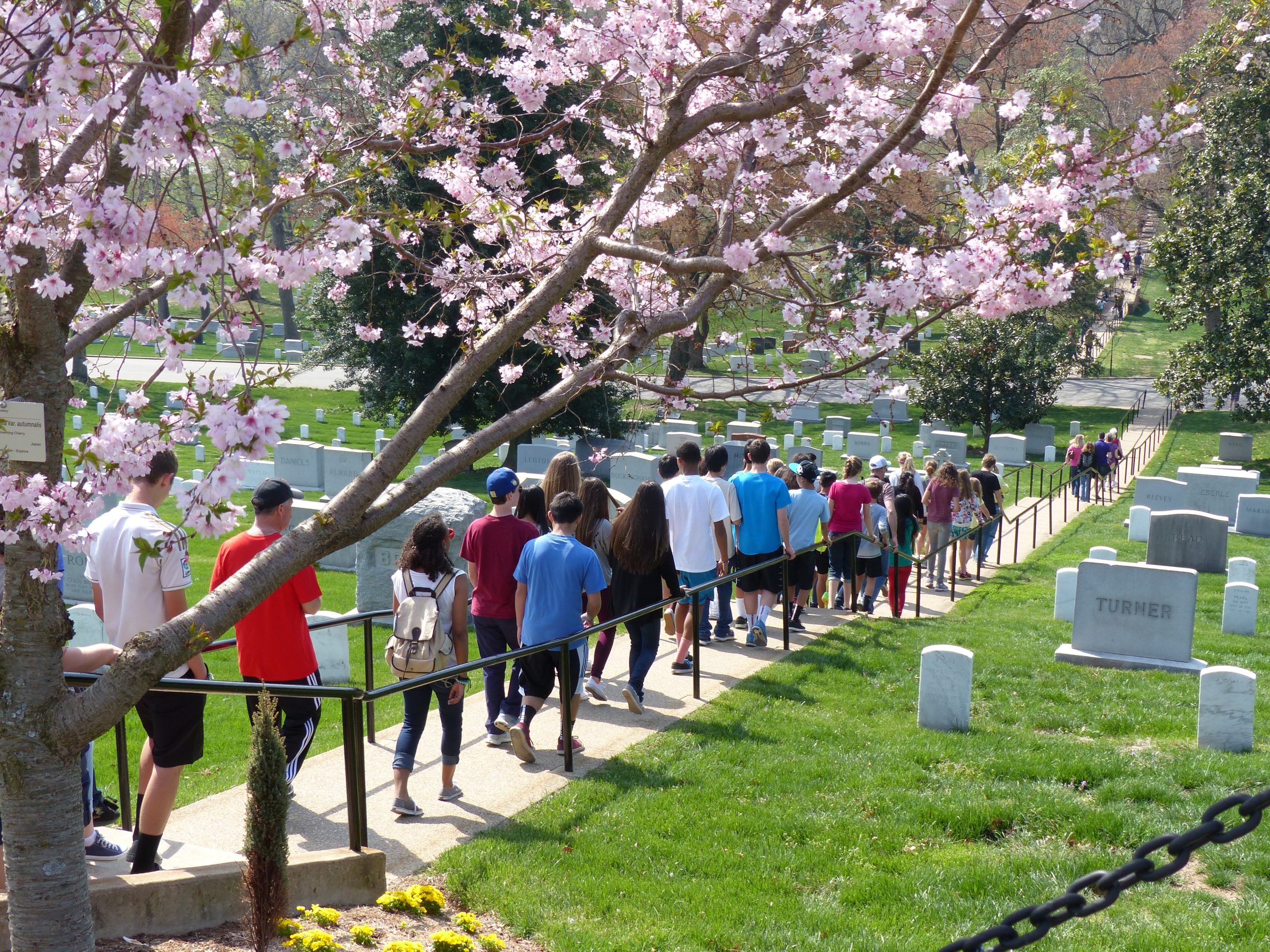 Group of students on an educational tour walking through the Arlington ware memorial park
